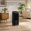 Air Pro Air Cooler 3-in-1, 5L Capacity, Remote Control, Evaporative Air Cooling