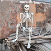 165cm Halloween Skeleton Life Size Prop Poseable Human Giant Bones Decor Model