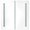 LED Bathroom Mirror Cabinet Shining White 62x14x60 cm