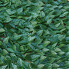 0.5*1M Artificial Faux Ivy Leaf Privacy Fence Screen Garden Panels Outdoor Hedge