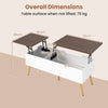 Lift Top Coffee Table Modern Center Table w/Storage Compartments-Walnut
