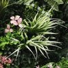 Artificial Green Living Wall Hedge Plant Panels Combo of 3x 1mx50cm - FLORENCE