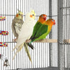 175cm Extra Large Bird Cage Rolling Metal Parrot Cage Pet Cage with Stand