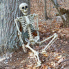 165cm Halloween Skeleton Life Size Prop Poseable Human Giant Bones Decor Model