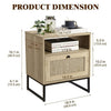Rattan Bedside Table with Drawer and Shelf Wood Nightstand End Table Metal Frame