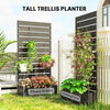 Trellis Planter Box Garden Raised Bed Privacy Screen Climbing Plants Flowers