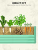 2X Large Galvanised Steel Raised Garden Bed 240x120x60cm Metal Planter Box Veg
