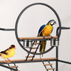 Pet Parrot Playstand Bird Cage Stand Activity Play Center Perch Ladder Wheel🔥