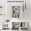Metal Framed Bathroom Mirror Cabinet Wall Mounted Bathroom Mirror with Storage
