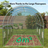 Polytunnel Greenhouse 2x3m - Weatherproof Heavy Duty Walk in Polytunnel Tent 6m²