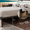 Queen Bed Frame with 2 Storage Drawer Upholstered Platform Bed with Headboard