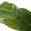 190cm(6ft) Artificial Palm Tree Indoor Decor Tropical Green Plant Home Office
