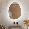Bathroom Mirror with LED Lights Touch Dimmable Demister Irregular Wall Mounted