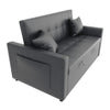 Living Room Sofa Bed Pull Out 2 SeaterConvertible Sleeper 2 with Cushions Grey