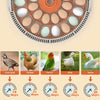 30x Eggs Incubator Temperature Control Chicken Hatcher Automatic Turning Digital