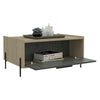 Oak & Grey Coffee Table Harvard with Storage Stylish Modern Design