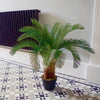Palm Tree Artificial Cycas 80cm Realistic Leaf Design