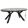 6 Seater Black Garden Wicker Dining Set with Sintered Stone Oval Table FTR247