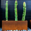 Corten Steel Rectangle Cube Planter Garden Plants Pot In & Outdoor Trough Tub UK