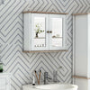 Bathroom Mirror Cabinet Wall Mounted Storage Cupboard W/ Double Door