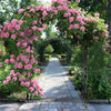 Metal Decorative Garden Arch with Ground Spikes Climbing Plant Support Trellis