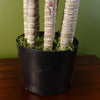 Artificial Palm Tree Realistic Green 75cm (2.5ft) Premium Indoor Home Decor UK