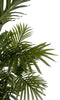Artificial Palm Tree Realistic Large 180cm (6ft) Premium Indoor Home Decor