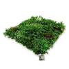 Artificial Living Green Wall Panel 100 x 100cm Plant Flower Foliage Hedge