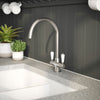 Nuie Traditional 1 Tap Hole Kitchen Sink Mixer Tap Lever Handles Curved Spout
