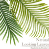 Artificial Areca Palm Tree Natural Looking Faux Plant in Pot 2ft 3ft 4ft 5ft 6ft