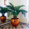 Palm Tree Artificial Cycas 80cm Realistic Leaf Design