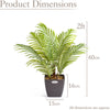Artificial Areca Palm Tree Natural Looking Faux Plant in Pot 2ft 3ft 4ft 5ft 6ft