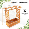 Raised Garden Bed with Arch Trellis