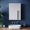 LED Bathroom Mirror Cabinet 500x700 Demister Shaver Socket with Bluetooth Option