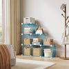 6-Cube Modular Wire Storage Unit,Closet Organizer Shelve for Bedroom,Living Room