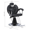 Hair Salon 360° Swivel Styling Salon Chair Adjustable Barber Chair Hairdressing