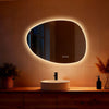 Illuminated Bathroom Mirror with LED Lights Wall Mounted Demister Touch Sensor