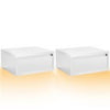 Floating Bedside Table Set of 2 Wall Mounted Nightstand W/ Drawer White