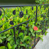 80cm Tall Steel Garden Fence 5 Panels Total Rust-Resistant Screen Gate Outdoor