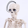 160cm Giant Poseable Human Skeleton Prop Halloween Party Indoor/Outdoor Decor UK