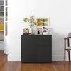 Side Cabinet with 2 Door Cabinet and 2 Drawer for Home Office, Black
