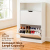 2 Drawer Shoe Cabinet with Shelf Slim Space-Saving Storage,White for 10+ Pairs