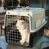 Large Portable Dog/ Cat Carrier Box Puppy Pet Transporter Cage Vet Travel Crate