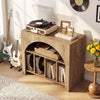 Modern Record Player Stand with Storage, 2-Tier Vinyl CD Media Storage Cabinet