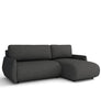 FOREST D Universal Corner Sofa Bed with Storage Container 10 Colours