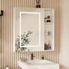 LED Bathroom Mirror Cabinet With Demister Wall Mounted Illuminate Touch Sensor