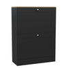 Modern Vida Designs 2 3 4 Drawer Shoe Cabinet Shelf Hallway Storage Space Unit