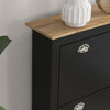 2 Drawer Shoe Cabinet Narrow Shoe Cupboard with Flip Doors, Black