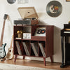 Large Vinyl Record Stand with Storage Shelf Holds Up to 300 Albums