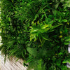 Artificial Living Green Wall Panel 100 x 100cm Plant Flower Foliage Hedge